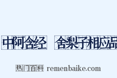 中阿含经·舍梨子相应品是什么意思的图片